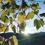 Mountains & Boutique