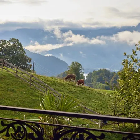 Daire Mountains & Boutique