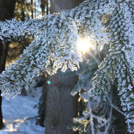 Mountains & Boutique アパート