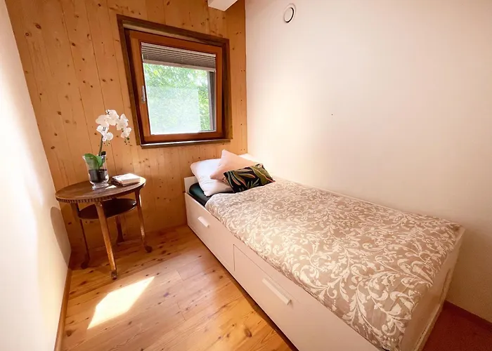 Mountains & Boutique *