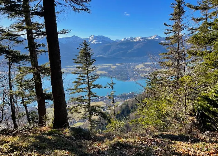 Mountains & Boutique *