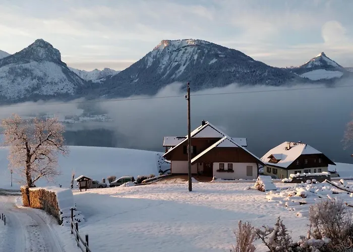 Mountains & Boutique *