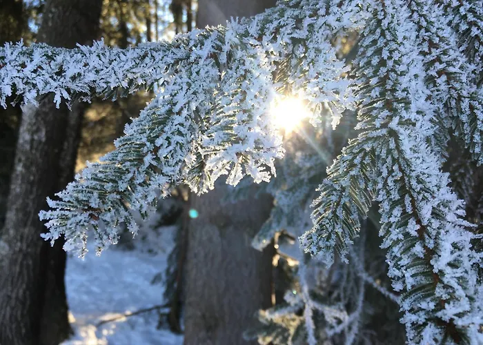 Mountains & Boutique شقة